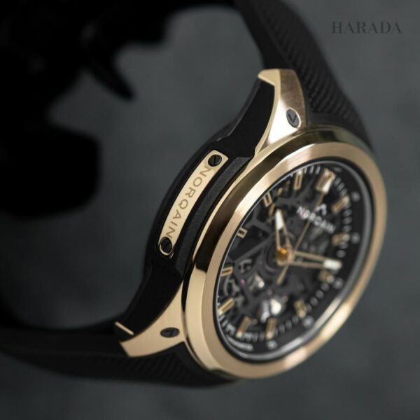 【限定50本】N3001.07G06.B01 NORQAIN ノルケイン ワイルドワン スケルトン 39mm イエローゴールド リミテッドエディション