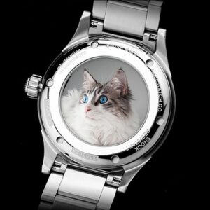 NM2098C-S28J-IBE BALL WATCH ボールウォッチ ストークマン ヴィクトリー