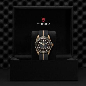M79250BA-0002 TUDOR チューダー ブラックベイ ブロンズ
