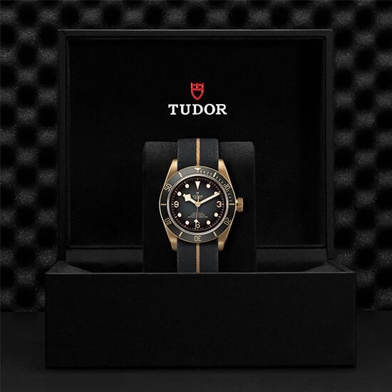 M79250BA-0002 TUDOR チューダー ブラックベイ ブロンズ