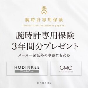 【世界限定1,000本】 DG3030B-S3CJ-BK BALL WATCH ボールウォッチ ロードマスター マリンGMT