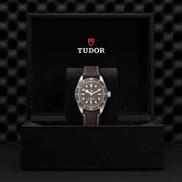 M79010SG-0001 TUDOR チューダー ブラックベイ 58 925