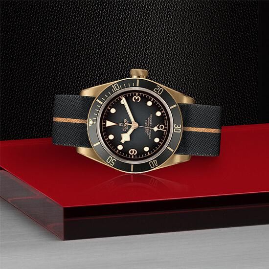 M79250BA-0002 TUDOR チューダー ブラックベイ ブロンズ
