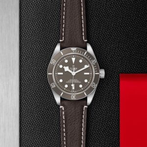 M79010SG-0001 TUDOR チューダー ブラックベイ 58 925