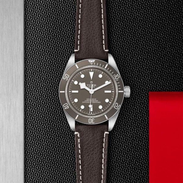 M79010SG-0001 TUDOR チューダー ブラックベイ 58 925