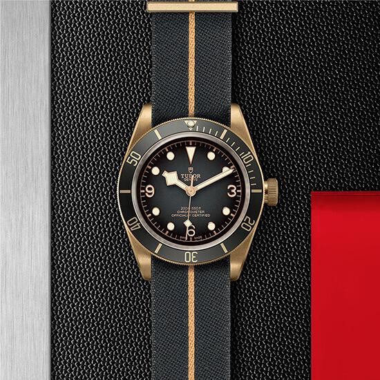M79250BA-0002 TUDOR チューダー ブラックベイ ブロンズ