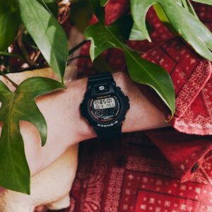 DW-6900RL-1JF CASIO カシオ DIGITAL Gショック