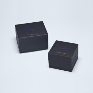 【世界限定500本】 OCW-T2600SG-3AJR CASIO カシオ オシアナス Classic Line OCEANUS 20TH ANNIVERSARY