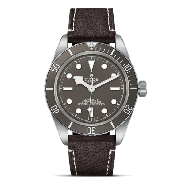 M79010SG-0001 TUDOR チューダー ブラックベイ 58 925