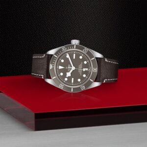 M79010SG-0001 TUDOR チューダー ブラックベイ 58 925