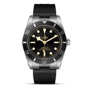 M79000N-0002 TUDOR チューダー ブラックベイ 54