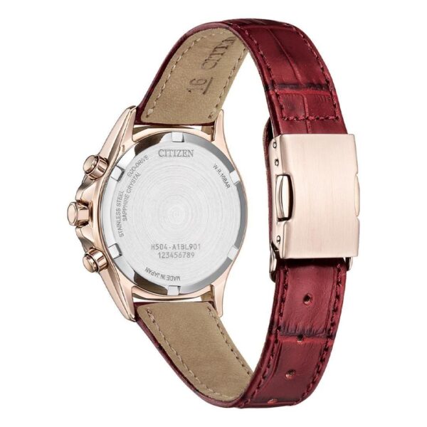 【世界限定1,100本】 FB1405-15W CITIZEN シチズン クロスシー basic collection